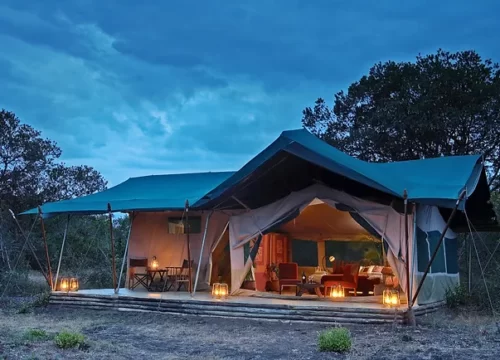 7 Days Tanzania Lodge Safari