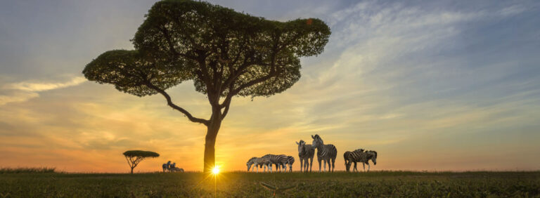 africasafarikenyatanzania_hero1